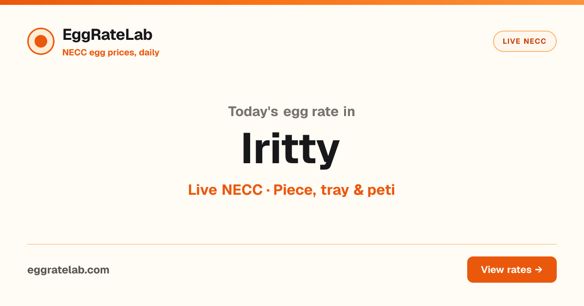 Today Egg Rate in Iritty: Live NECC Egg Price