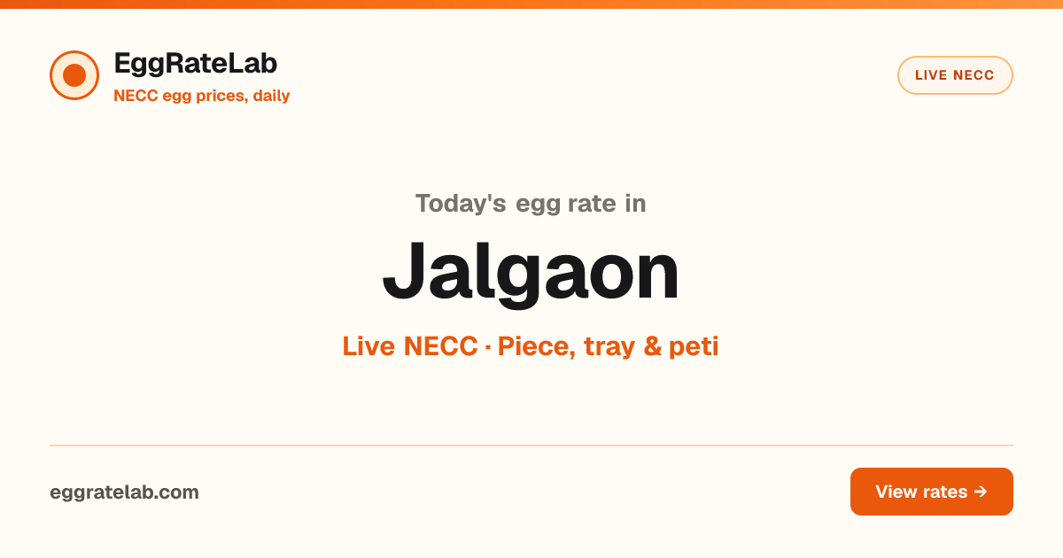 Today Egg Rate in Jalgaon: Live NECC Egg Price