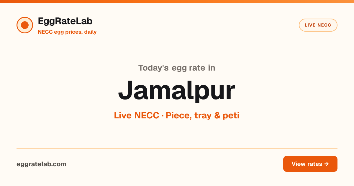 Today Egg Rate in Jamalpur: Live NECC Egg Price