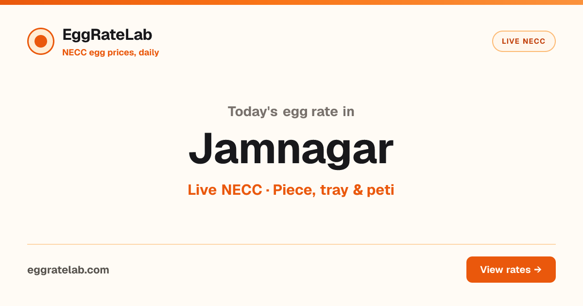 Today Egg Rate in Jamnagar: Live NECC Egg Price