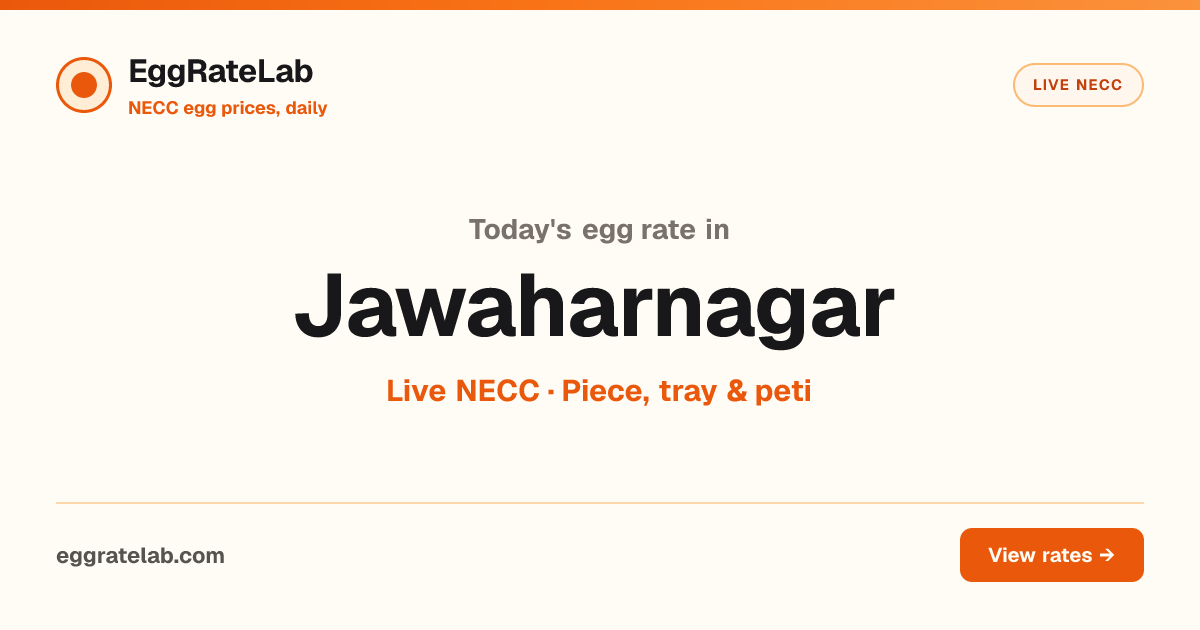 Today Egg Rate in Jawaharnagar: Live NECC Egg Price