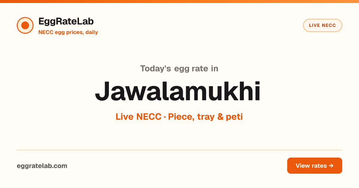 Today Egg Rate in Jawalamukhi: Live NECC Egg Price