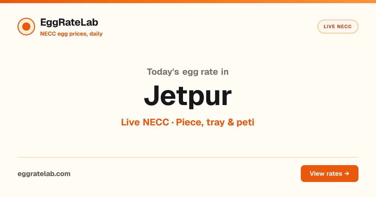 Today Egg Rate in Jetpur: Live NECC Egg Price