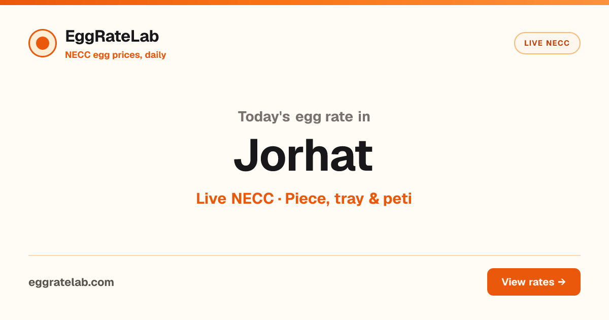 Today Egg Rate in Jorhat: Live NECC Egg Price