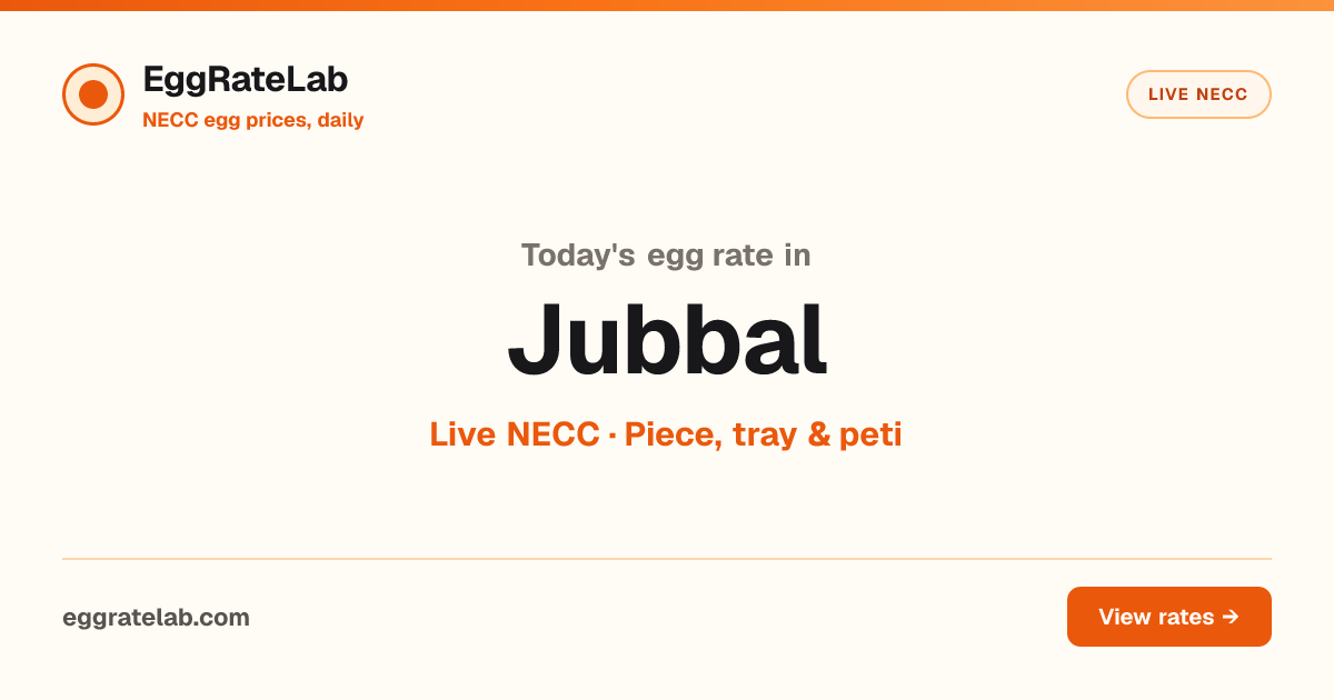 Today Egg Rate in Jubbal: Live NECC Egg Price
