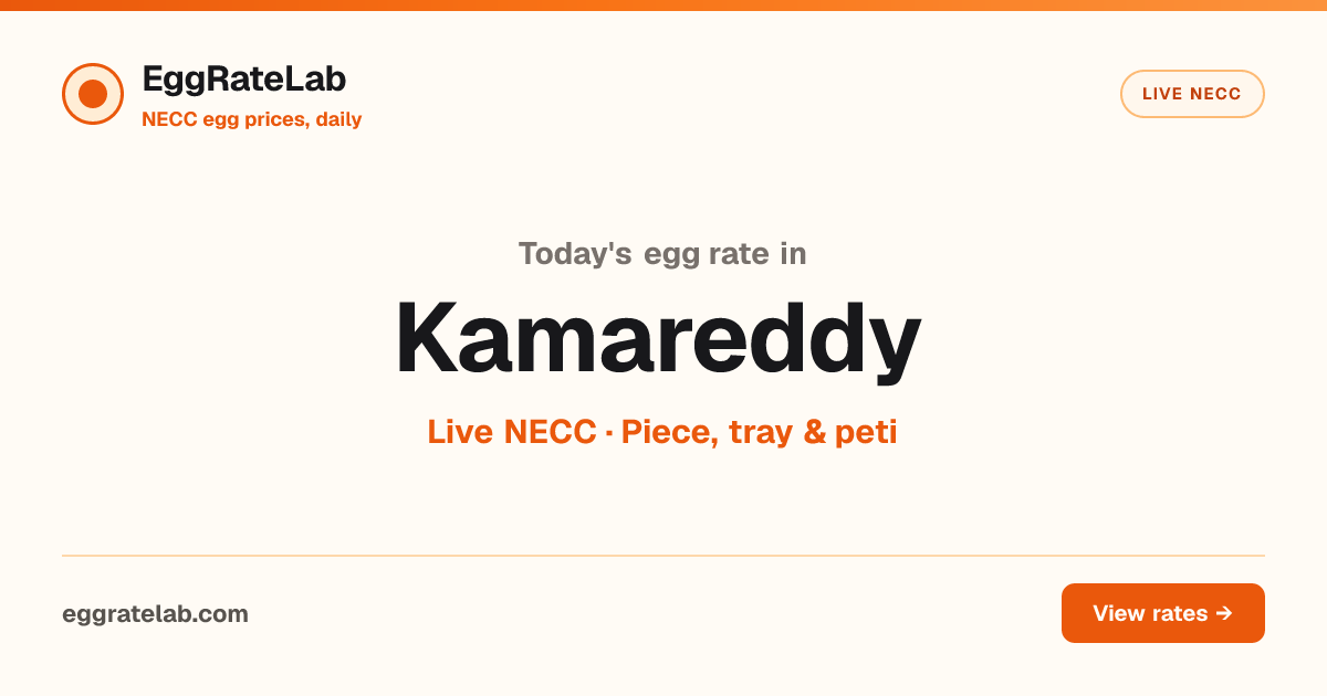 Today Egg Rate in Kamareddy: Live NECC Egg Price