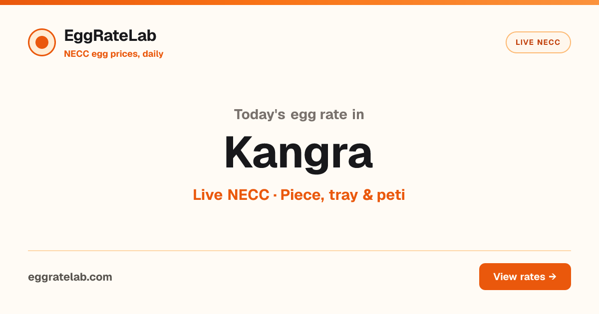 Today Egg Rate in Kangra: Live NECC Egg Price
