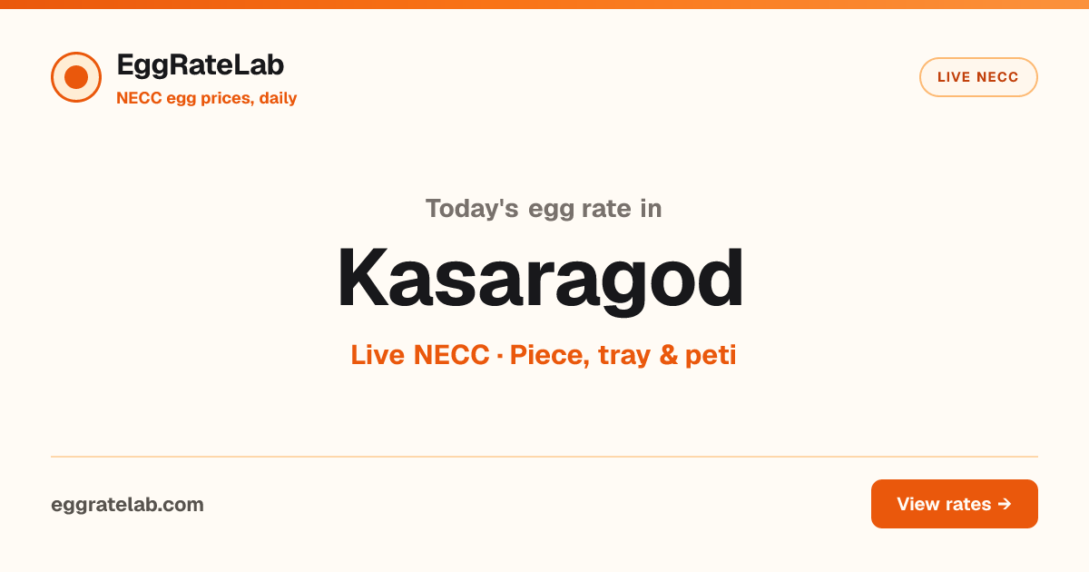 Today Egg Rate in Kasaragod: Live NECC Egg Price