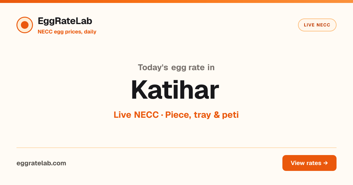 Today Egg Rate in Katihar: Live NECC Egg Price