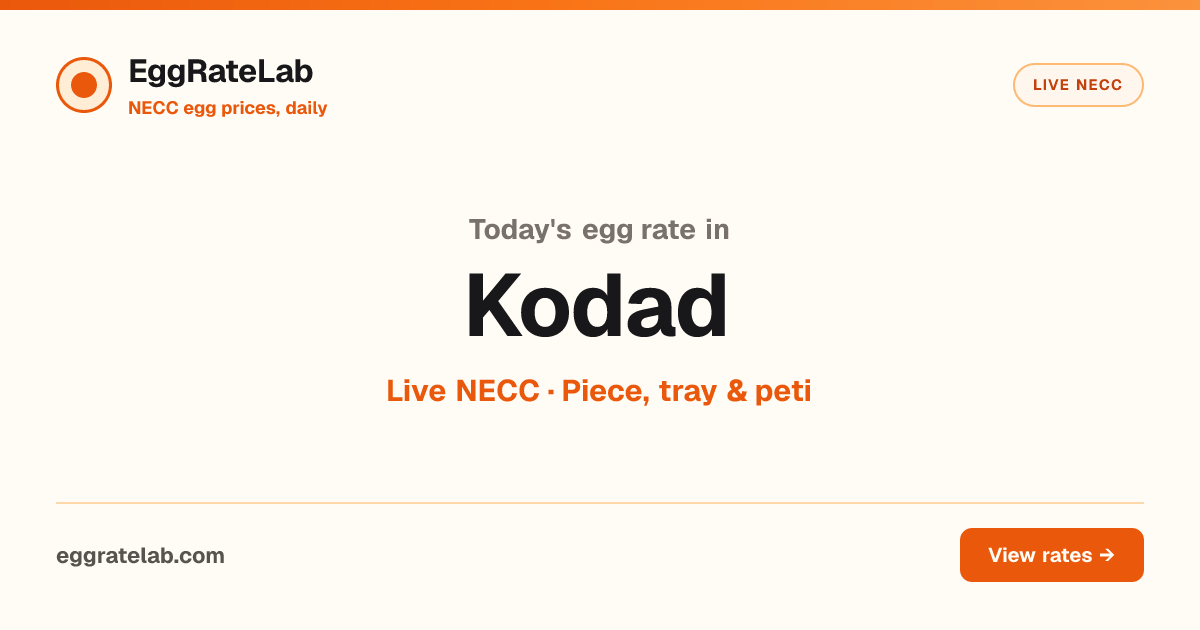 Today Egg Rate in Kodad: Live NECC Egg Price