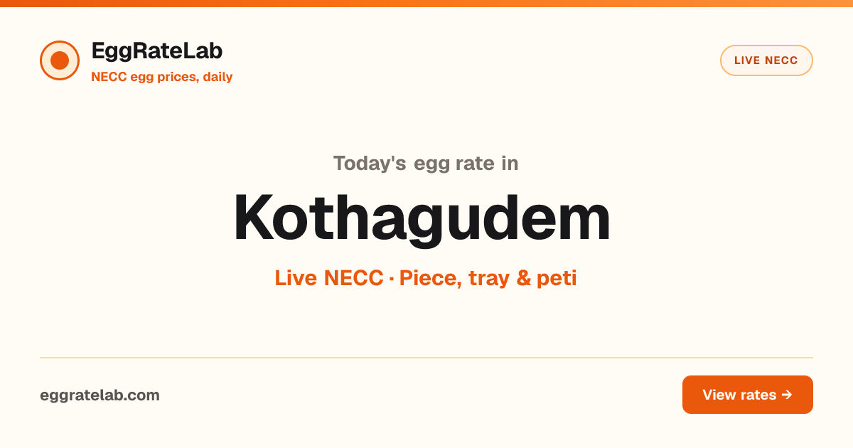 Today Egg Rate in Kothagudem: Live NECC Egg Price