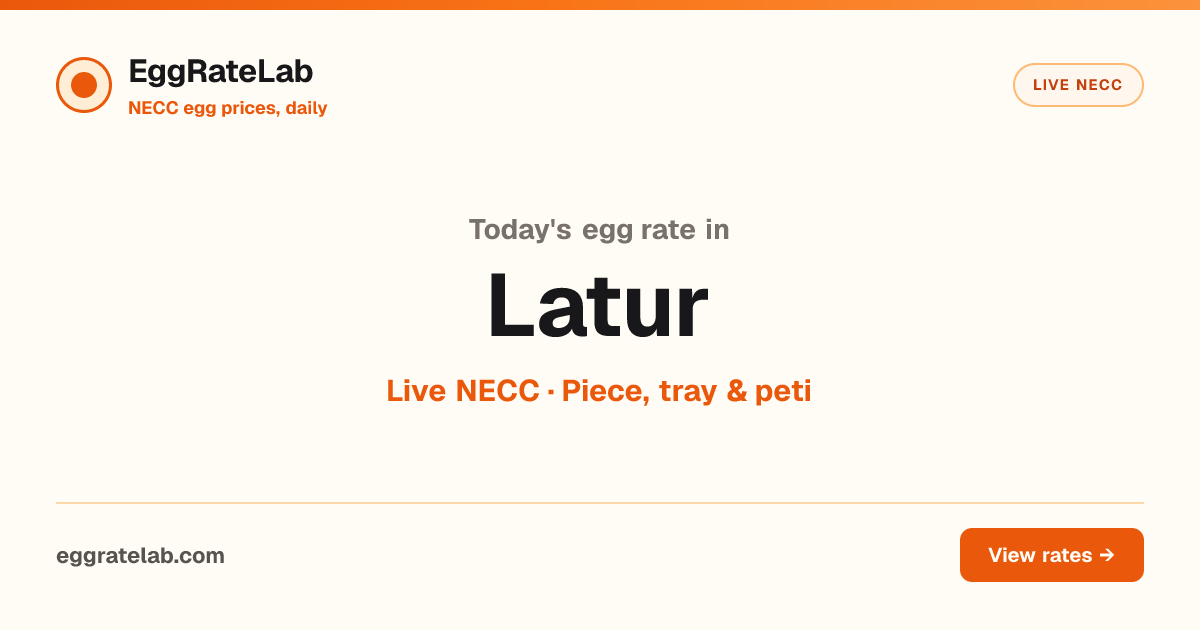 Today Egg Rate in Latur: Live NECC Egg Price