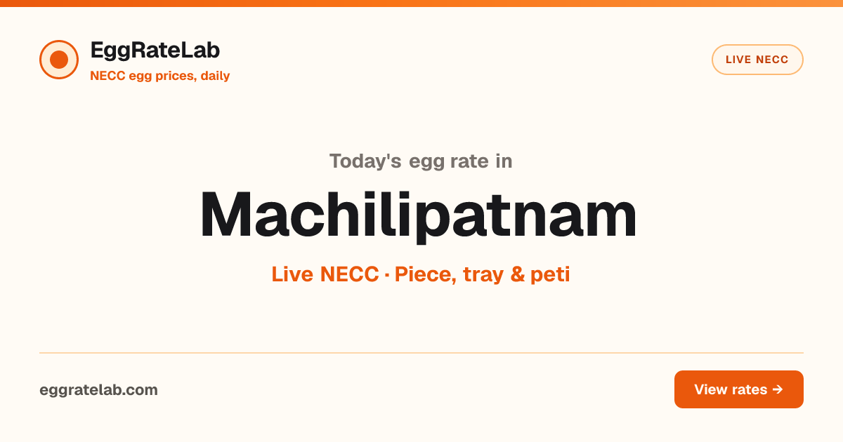 Today Egg Rate in Machilipatnam: Live NECC Egg Price