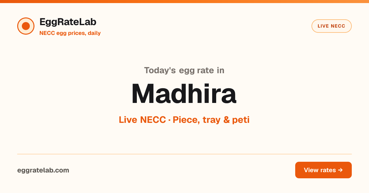 Today Egg Rate in Madhira: Live NECC Egg Price