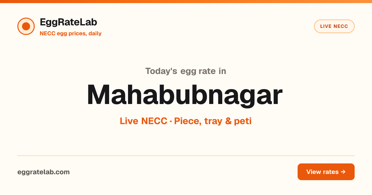 Today Egg Rate in Mahabubnagar: Live NECC Egg Price