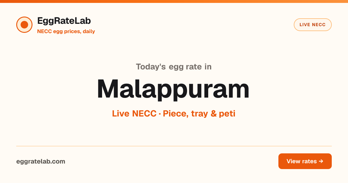 Today Egg Rate in Malappuram: Live NECC Egg Price