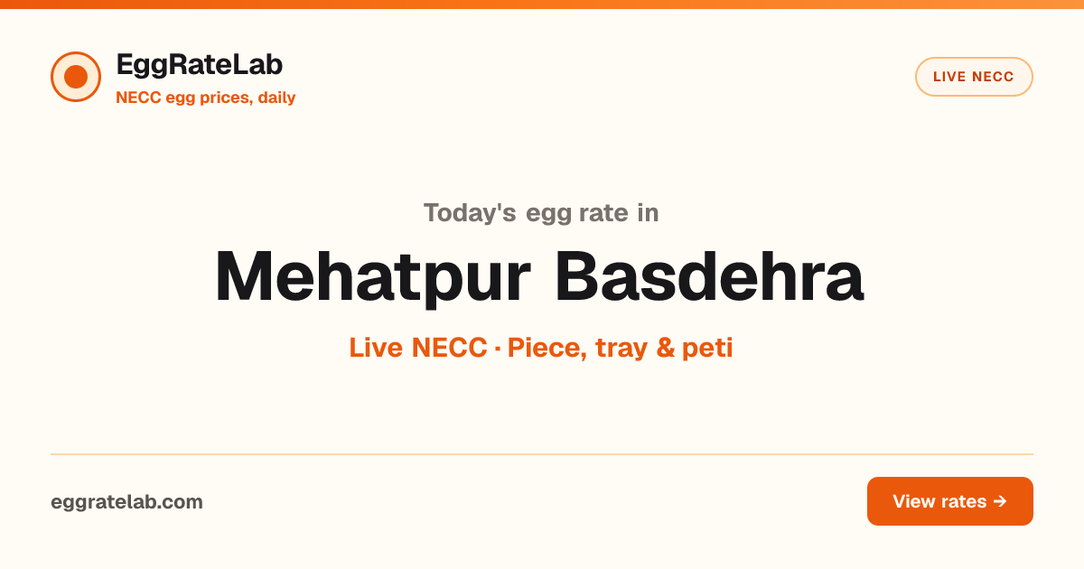 Today Egg Rate in Mehatpur Basdehra: Live NECC Egg Price