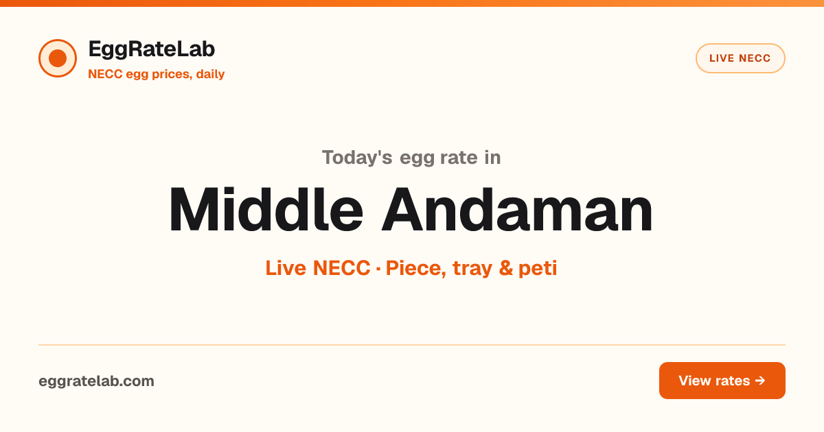 Today Egg Rate in Middle Andaman: Live NECC Egg Price