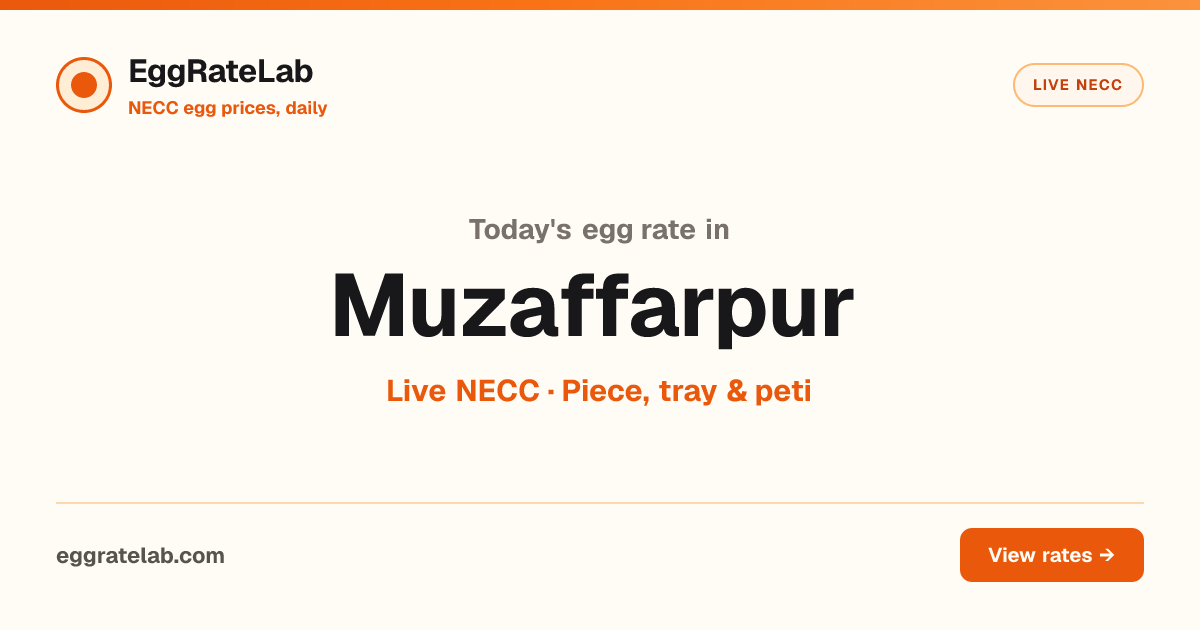 Today Egg Rate in Muzaffarpur: Live NECC Egg Price