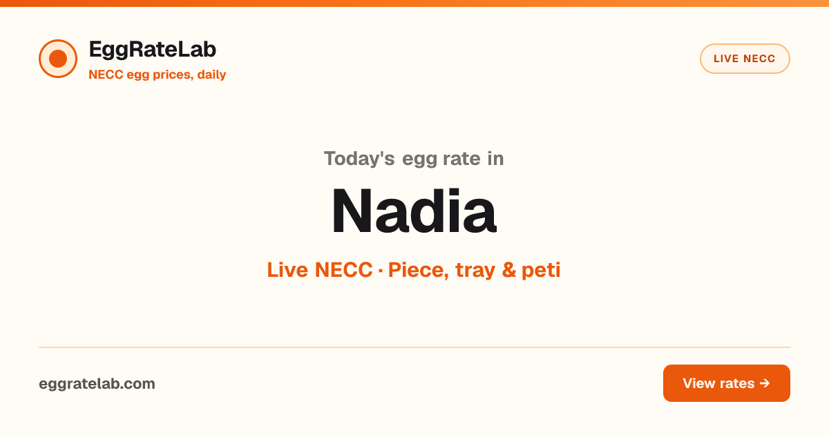 Today Egg Rate in Nadia: Live NECC Egg Price