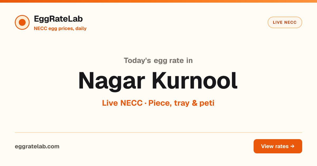 Today Egg Rate in Nagar Kurnool: Live NECC Egg Price