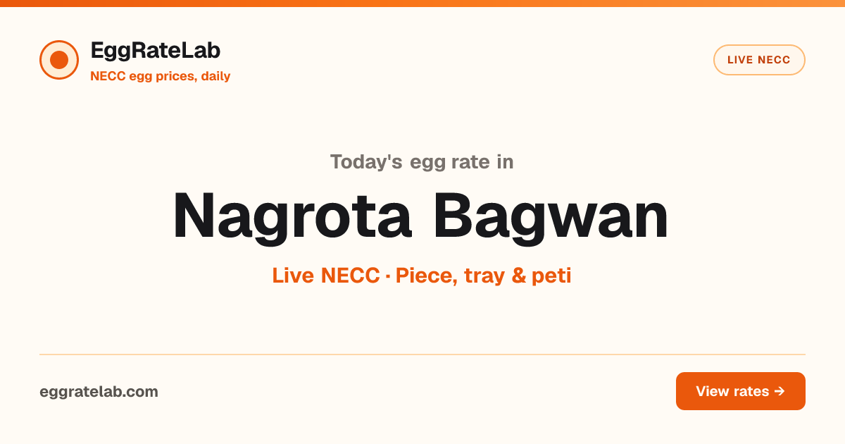 Today Egg Rate in Nagrota Bagwan: Live NECC Egg Price