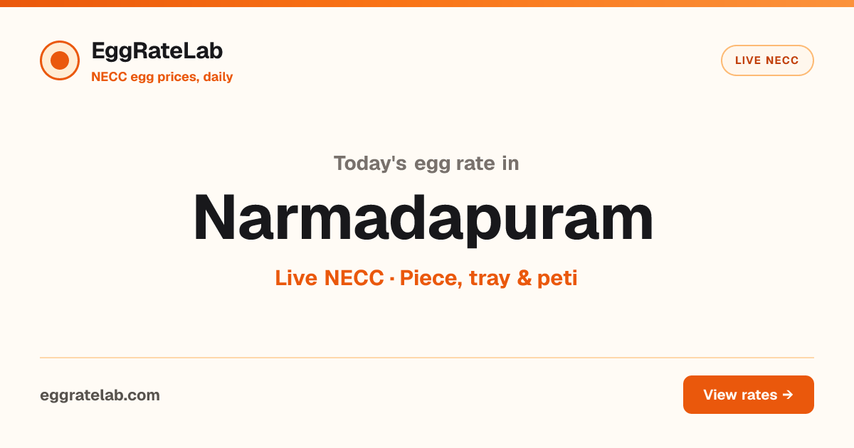 Today Egg Rate in Narmadapuram: Live NECC Egg Price