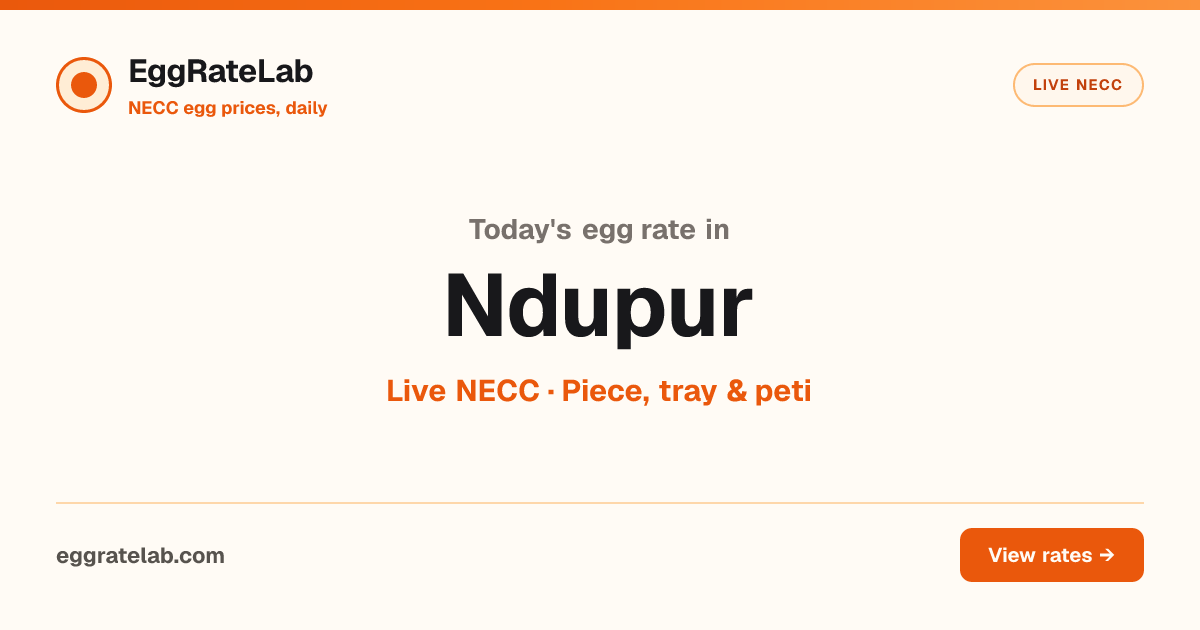 Today Egg Rate in Ndupur: Live NECC Egg Price