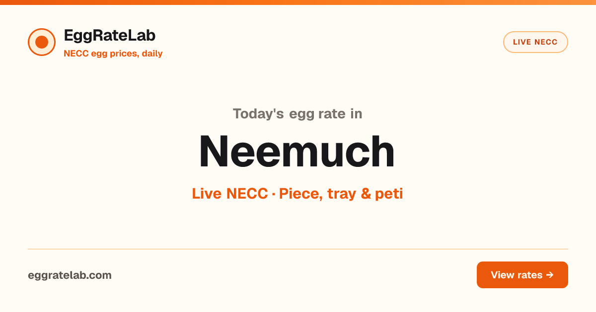 Today Egg Rate in Neemuch: Live NECC Egg Price