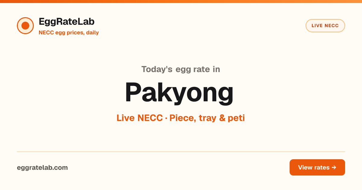 Today Egg Rate in Pakyong: Live NECC Egg Price