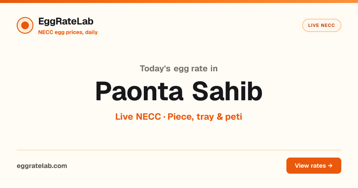 Today Egg Rate in Paonta Sahib: Live NECC Egg Price