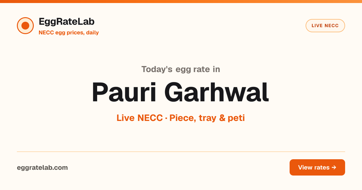 Today Egg Rate in Pauri Garhwal: Live NECC Egg Price