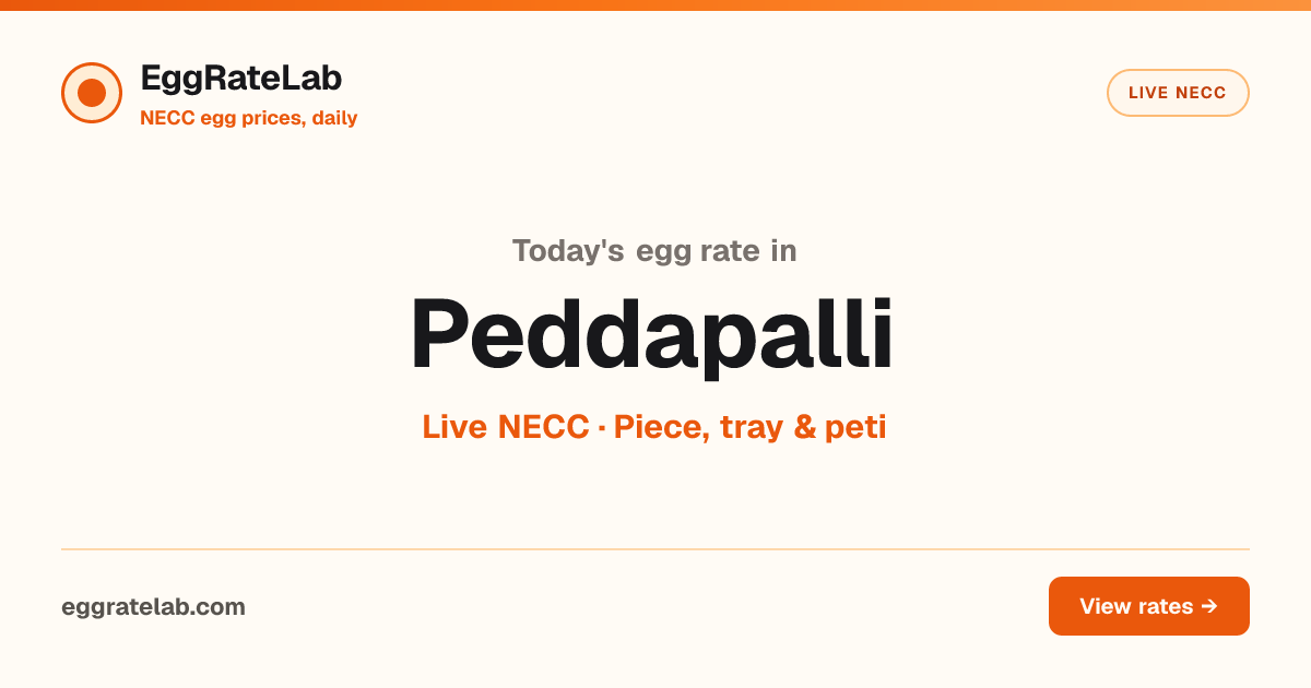 Today Egg Rate in Peddapalli: Live NECC Egg Price