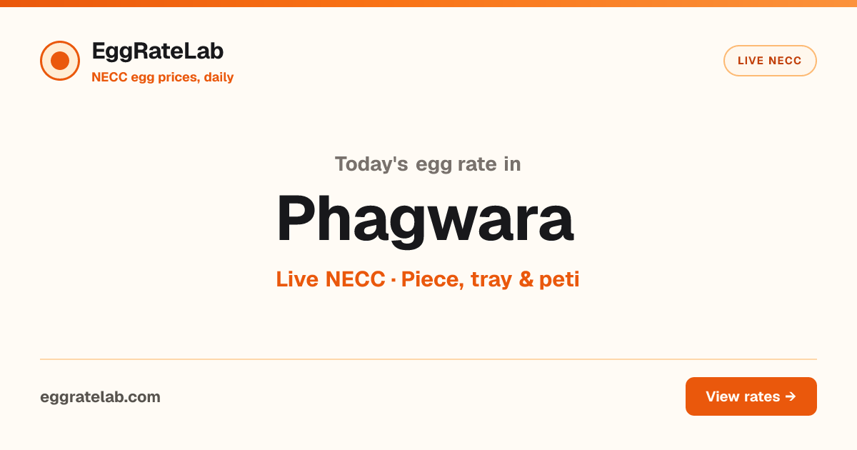 Today Egg Rate in Phagwara: Live NECC Egg Price