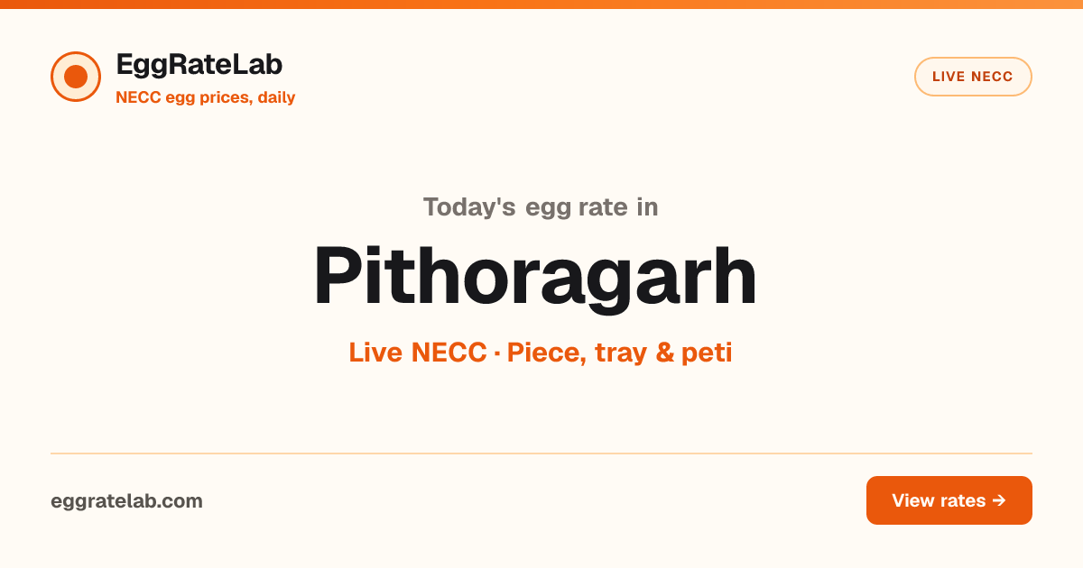 Today Egg Rate in Pithoragarh: Live NECC Egg Price
