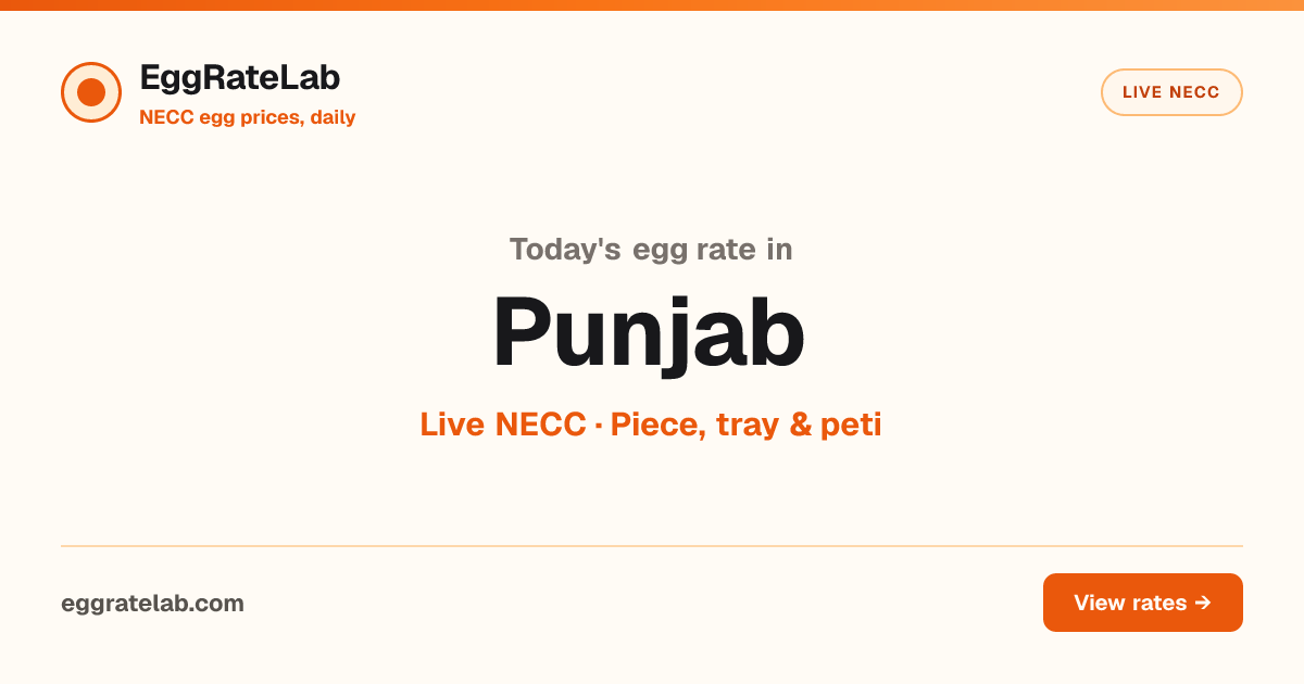 Today Egg Rate in Punjab: Live NECC Egg Price