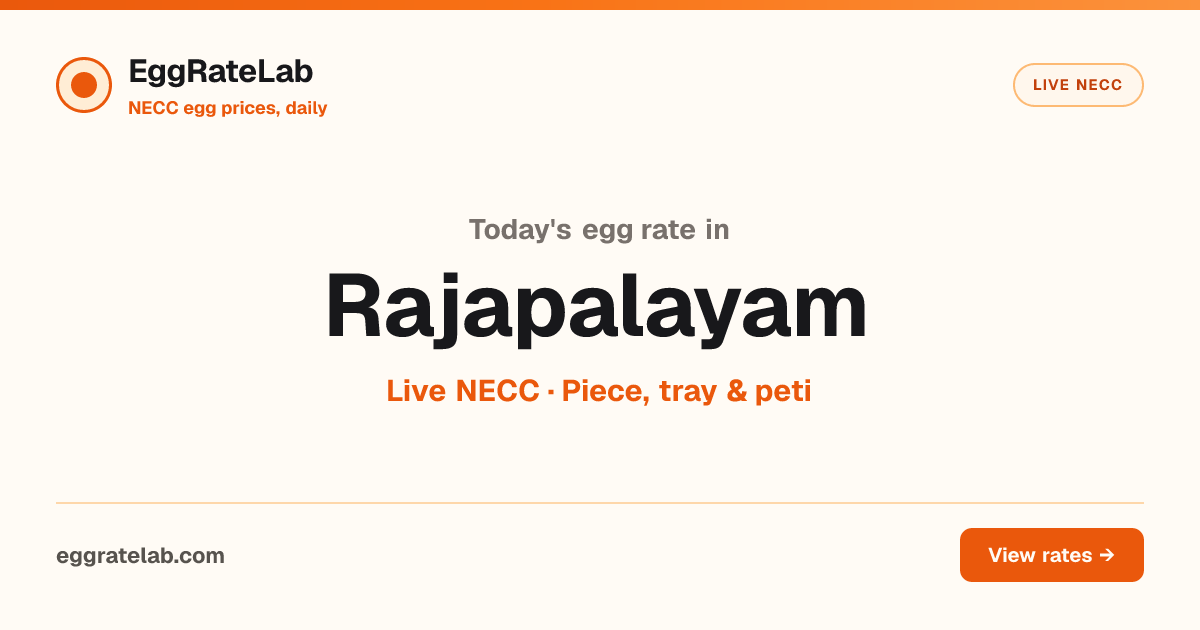 Today Egg Rate in Rajapalayam: Live NECC Egg Price