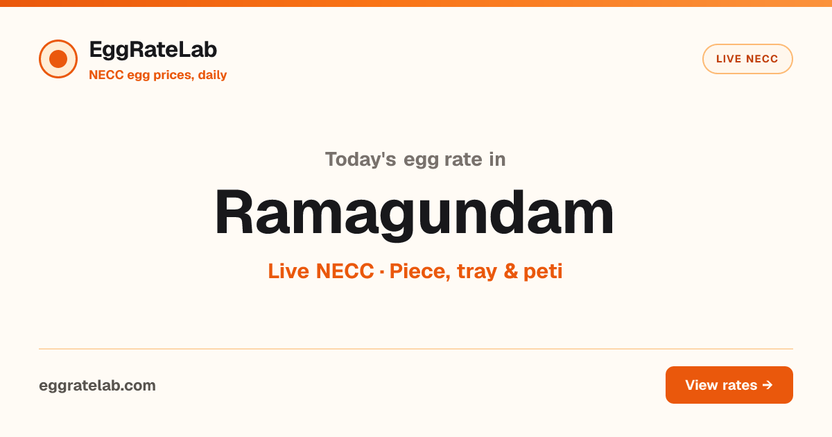Today Egg Rate in Ramagundam: Live NECC Egg Price