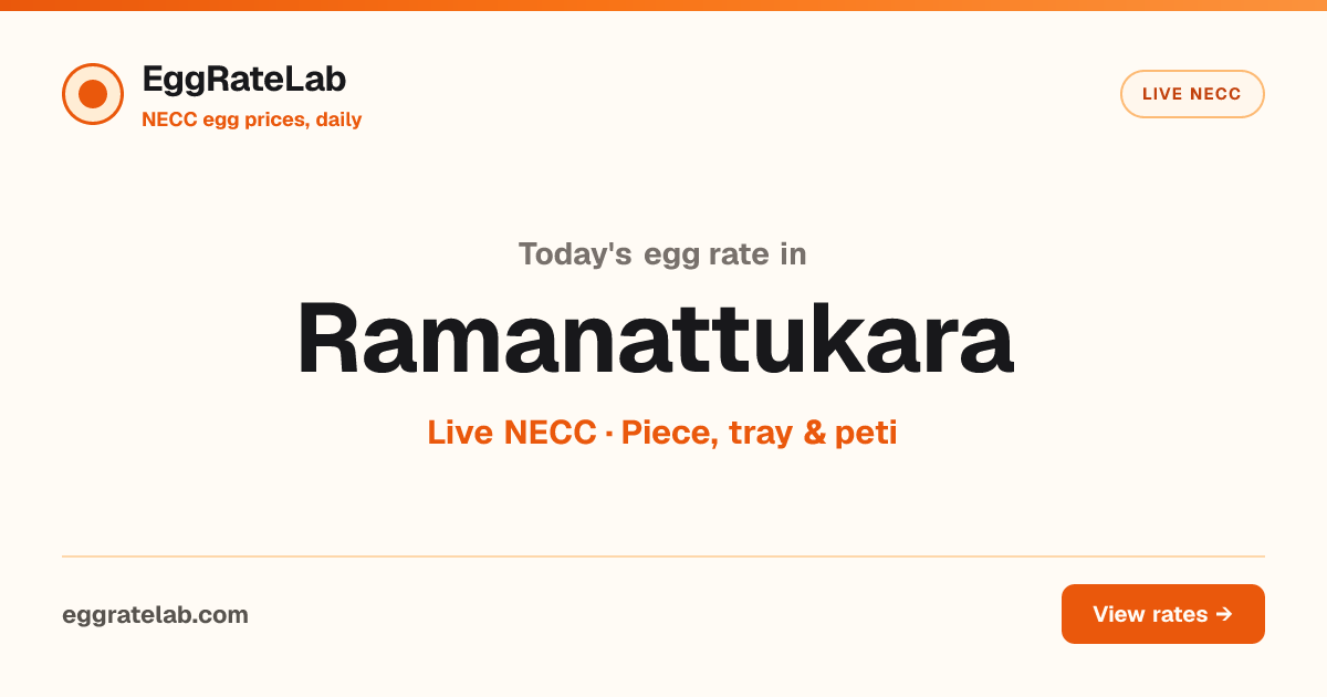 Today Egg Rate in Ramanattukara: Live NECC Egg Price