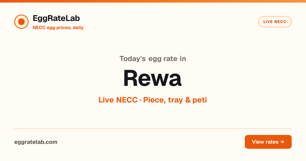Today Egg Rate in Rewa: Live NECC Egg Price