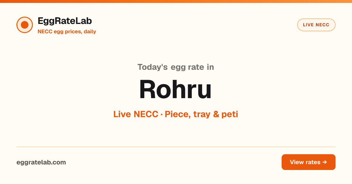 Today Egg Rate in Rohru: Live NECC Egg Price