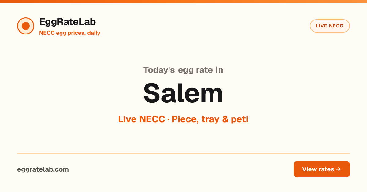 Today Egg Rate in Salem: Live NECC Egg Price