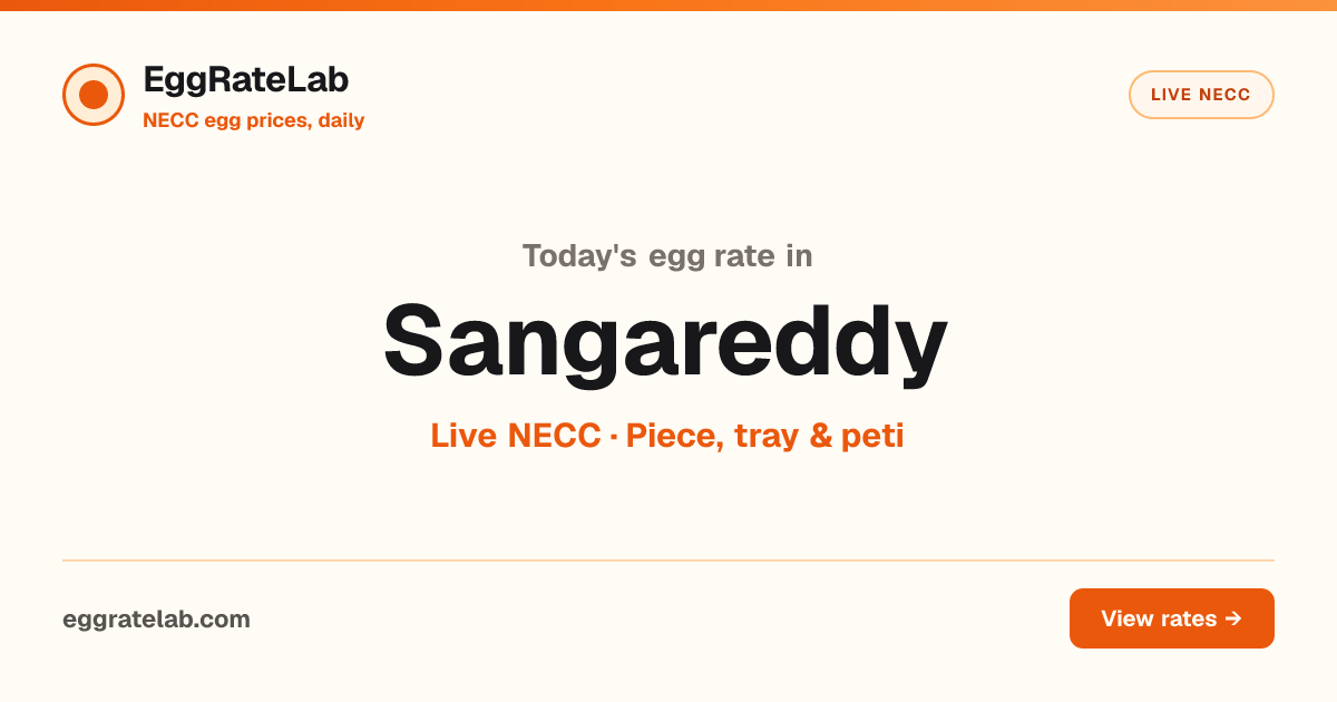 Today Egg Rate in Sangareddy: Live NECC Egg Price