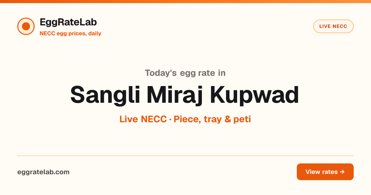 Today Egg Rate in Sangli Miraj Kupwad: Live NECC Egg Price