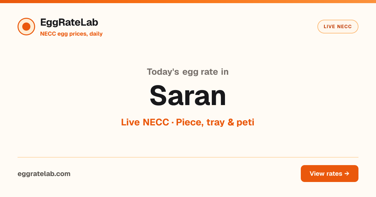 Today Egg Rate in Saran: Live NECC Egg Price