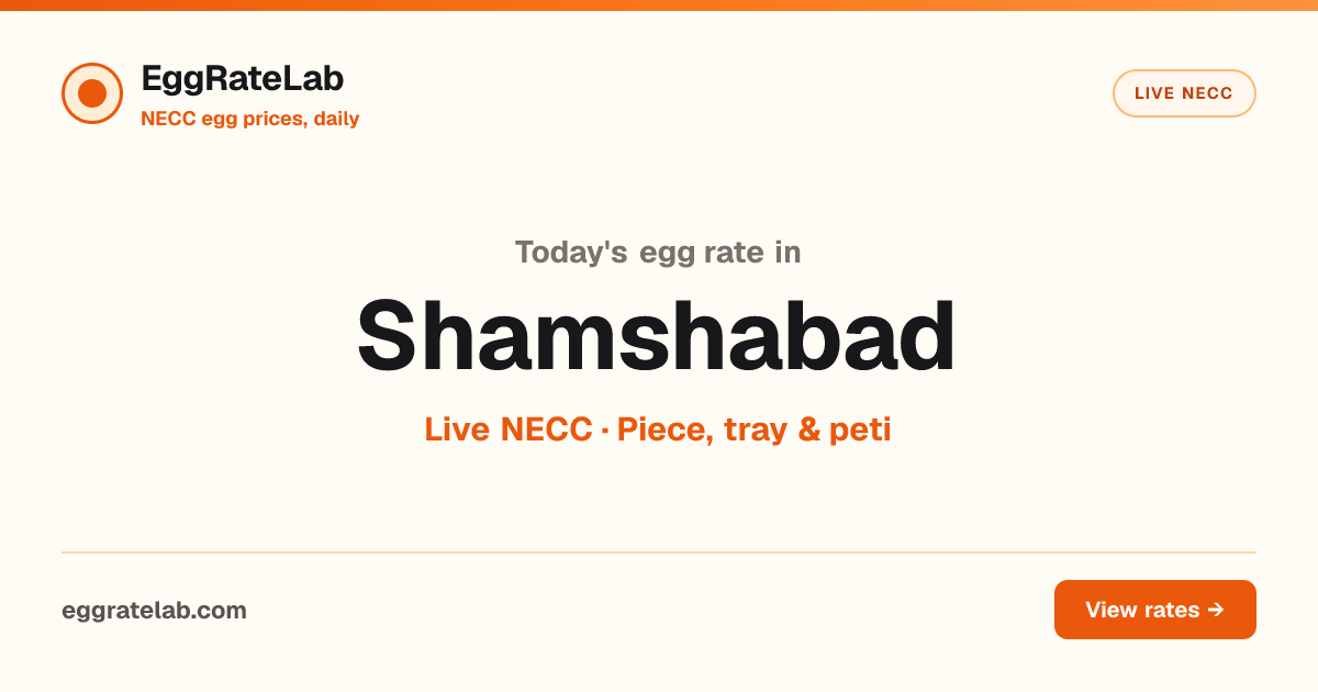 Today Egg Rate in Shamshabad: Live NECC Egg Price