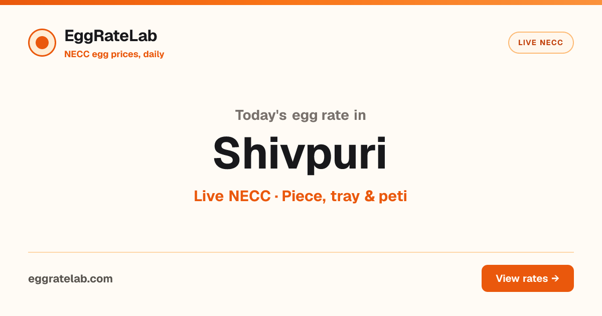 Today Egg Rate in Shivpuri: Live NECC Egg Price