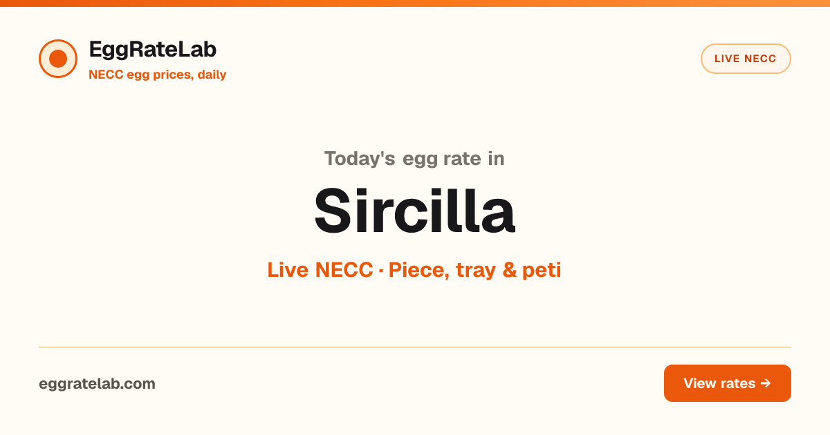 Today Egg Rate in Sircilla: Live NECC Egg Price