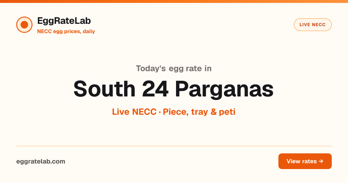 Today Egg Rate in South 24 Parganas: Live NECC Egg Price