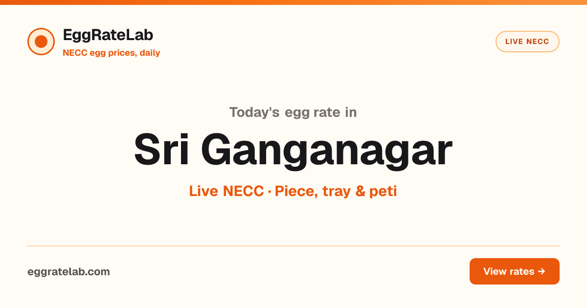 Today Egg Rate in Sri Ganganagar: Live NECC Egg Price
